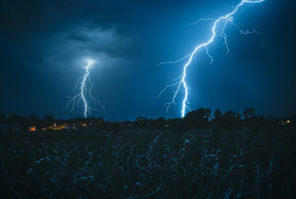 lightning struck on Forrest