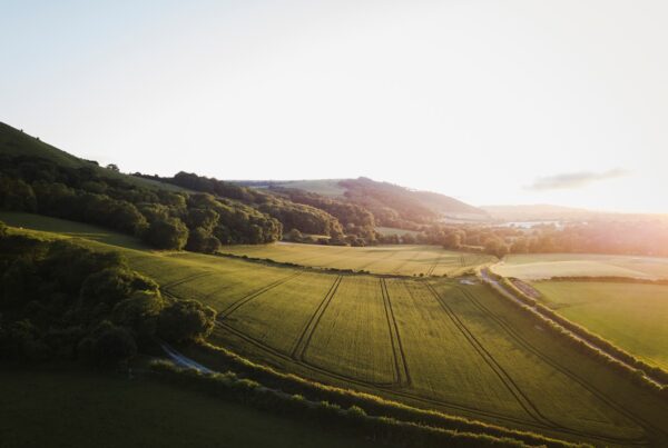 green grass field